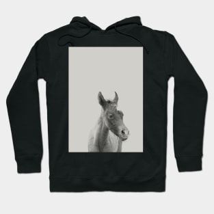 Foal 04 Hoodie